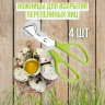 Ножницы кухонные (4 штуки) для вскрытия перепелиных яиц 14 см