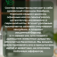 Средство от чешуйниц (серебрянок) в доме 45 грамм, природный состав