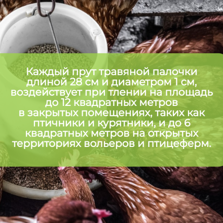 Репеллент Exmork, уничтожитель пухоеда, пероеда, клещей, вшей у куриц и птиц 3 палочки по 28 см