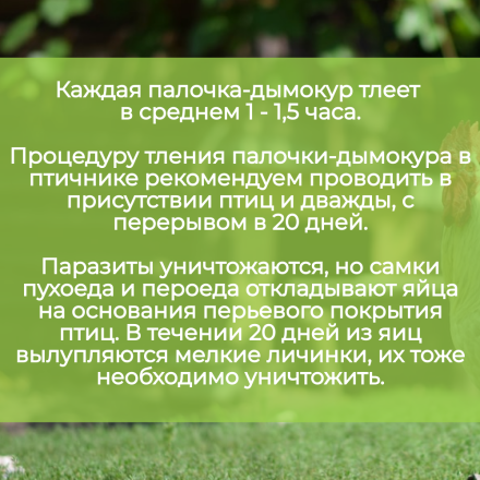 Репеллент Exmork, уничтожитель пухоеда, пероеда, клещей, вшей у куриц и птиц 3 палочки по 28 см
