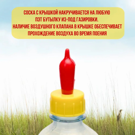 Поилка соска для поения козлят, ягнят, котят, для кормления крольчат, поросят на ПЭТ бутылку 30 шт.