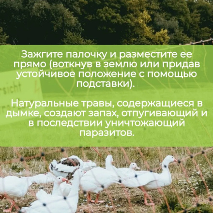 Репеллент от пухоеда и пероеда для кур Exmork, 10 палочек по 28см, натуральный состав