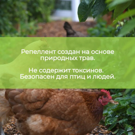 Репеллент от пухоеда и пероеда для кур Exmork, 10 палочек по 28см, натуральный состав