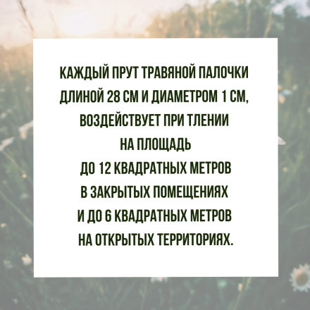 Репеллент Exmork, средство для уничтожения красного куриного клеща 3 палочки по 28 см