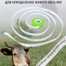 Мерная рулетка-лента двусторонняя для измерения веса крс «Голштинская - Симментальская» и «Гернзеиская - Черно-пестрая»