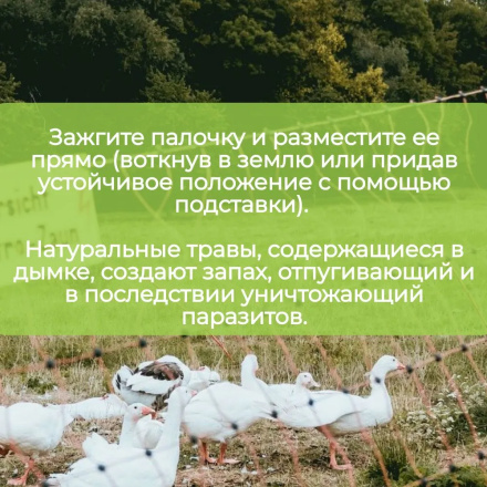Репеллент Exmork уничтожение пухоеда/пероеда, вшей, клещей 5 палочек по 58 см для кур и птиц