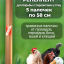 Репеллент Exmork уничтожение пухоеда/пероеда, вшей, клещей 5 палочек по 58 см для кур и птиц
