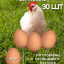 Яйцо резиновое куриное подкладное 30 штук, искусственное коричневое муляж