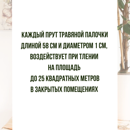 Репеллент Exmork, средство для уничтожения жучков в крупе, 10 палочек по 58 см