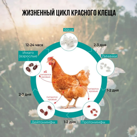Репеллент Exmork, средство для уничтожения красного куриного клеща 10 палочек по 58 см