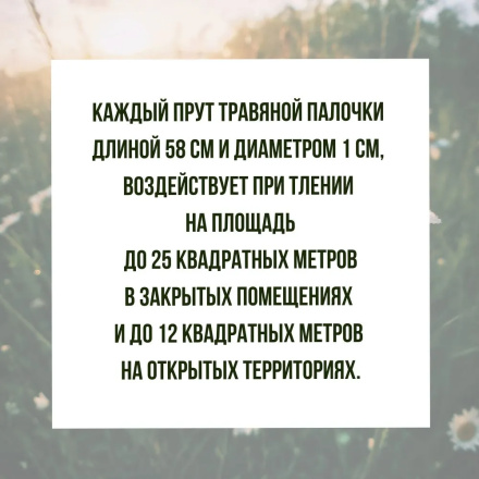 Репеллент Exmork, средство для уничтожения красного куриного клеща 10 палочек по 58 см