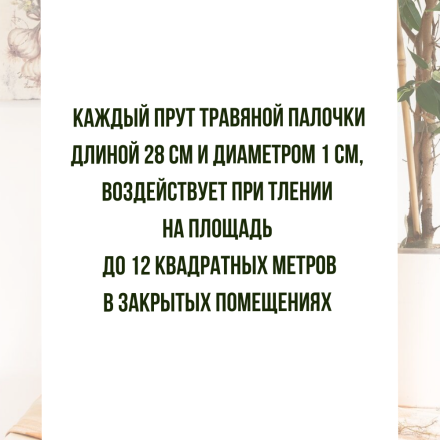Репеллент Exmork, средство для уничтожения жучков в крупе, 3 палочки по 28 см