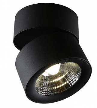 Потолочный светильник Divinare Urchin 1295/04 PL-1