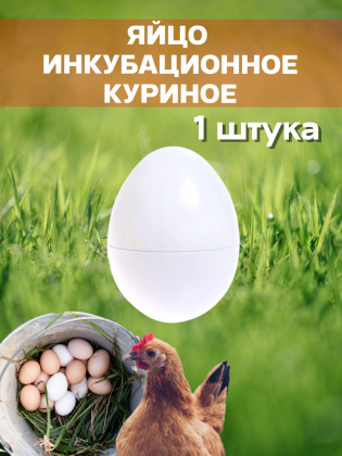 Яйцо инкубационное куриное 1 штука