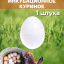 Яйцо инкубационное куриное 1 штука