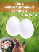 Яйца инкубационные куриные 2 штуки