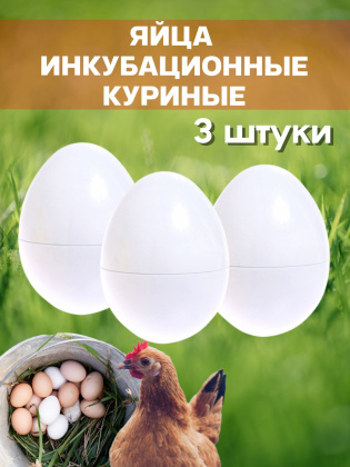 Яйца инкубационные куриные 3 штуки