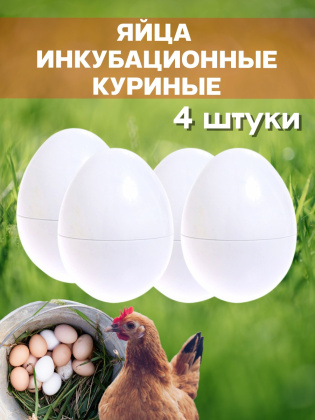 Яйца инкубационные куриные 4 штуки