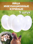 Яйца инкубационные куриные 5 штук