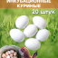 Яйца инкубационные куриные 20 штук