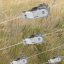 Натяжитель зубчатый 5.png