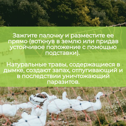 Репеллент Exmork средство для уничтожения (5 палочек по 119см) от пухоеда, пероеда у птиц