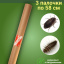 Средство Exmork, для уничтожения кожеедов в квартире и доме, 58 см 3 палочки