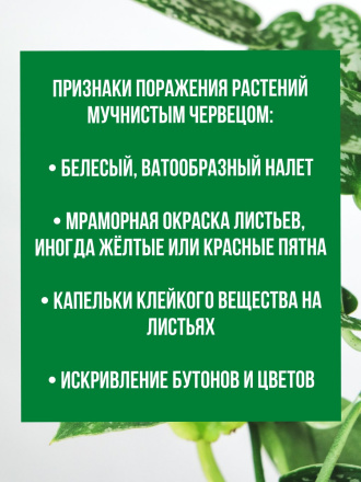 Средство от мучнистого червеца 5 палочек по 58 см репеллент Exmork из природных трав