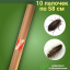Средство Exmork, для уничтожения кожеедов в квартире и доме, 58 см 10 палочек Средство Exmork, для уничтожения кожеедов в квартире и доме, 58 см 10 палочек