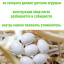 Яйца подкладные куриные муляж 4 штуки