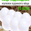 Яйца подкладные куриные муляж 10 штук