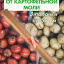 Средство от моли пищевой картофельной Exmork, натуральный состав, 3 палочки 58 см