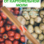 Средство от моли пищевой картофельной Exmork, натуральный состав, 5 палочек 58 см